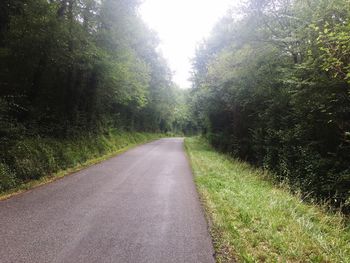 Road amidst trees against clear sky