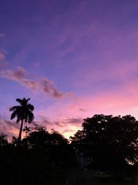 Low angle view of silhouette trees against sky during sunset