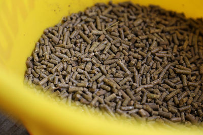 1810, holiday with a horse and trailer, vogesen, france