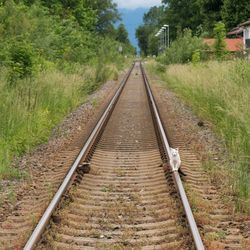 View of white cat on horizon leading railroad tracks