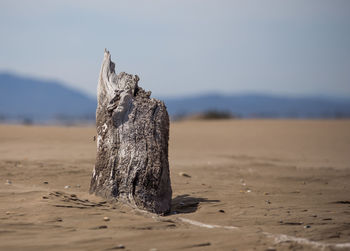 Close-up of wooden post on field against sky