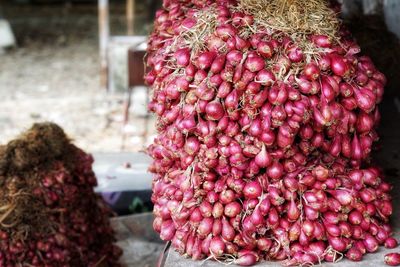 Close-up of fruits for sale in market