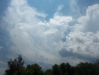 Low angle view of trees against cloudy sky