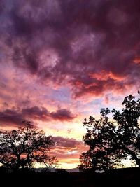 Silhouette of tree against cloudy sky