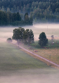 Trees on field against sky