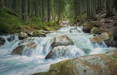 Scenic view of waterfall in forest