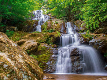 Scenic view of waterfall in forest