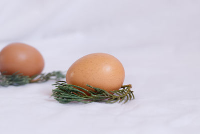 Close-up of easter egg on white background