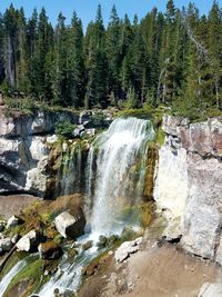 Scenic view of waterfall in forest