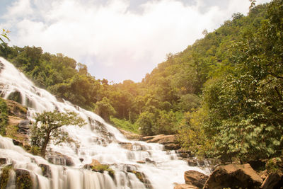 Scenic view of waterfall in forest against sky