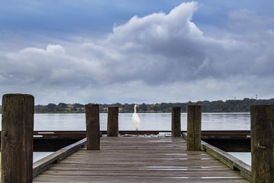 Bird perching on pier over sea against sky