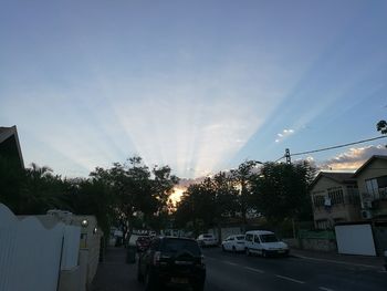 Cars on illuminated trees against sky