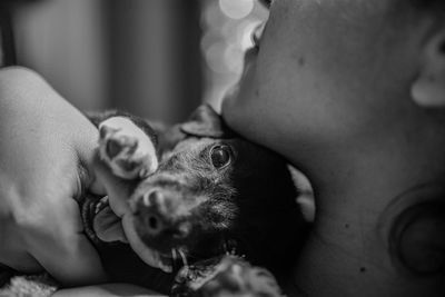 Midsection of woman holding puppy