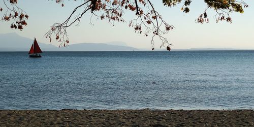 Scenic view of sea against sky