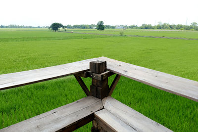 Scenic view of field against clear sky