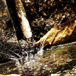 water