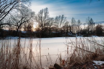 Bare trees by lake against sky