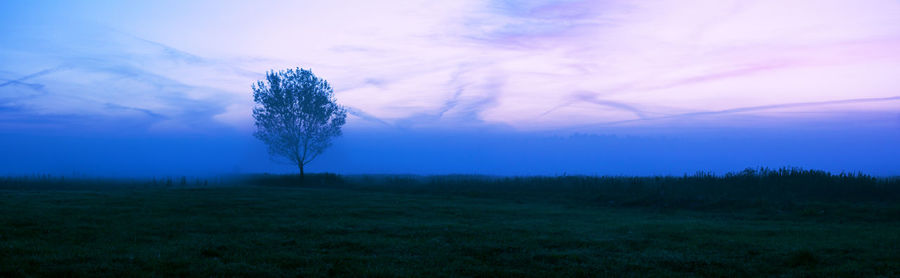 Scenic view of field against sky during sunset