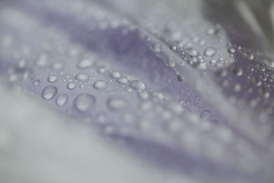 Close-up of water drops on glass