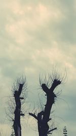 Silhouette bare tree against sky