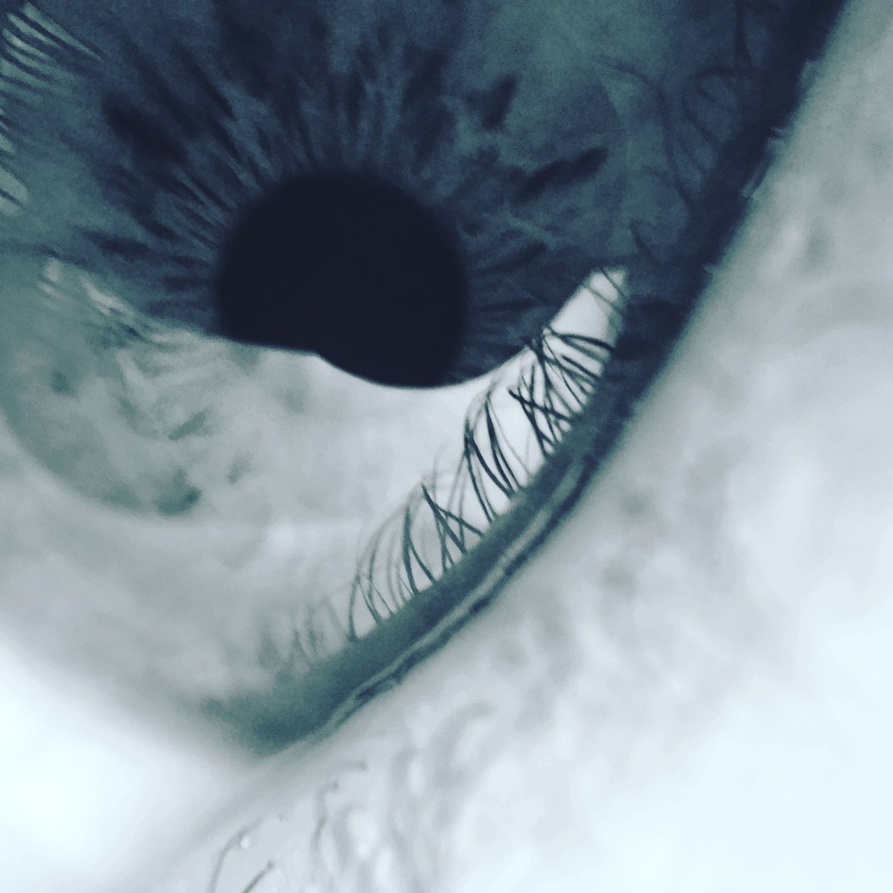 CLOSE-UP PORTRAIT OF HUMAN EYE