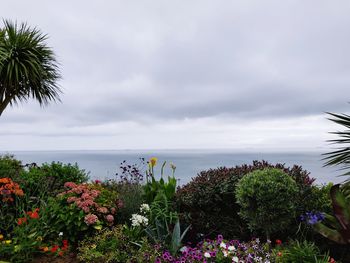 Scenic view of sea against cloudy sky