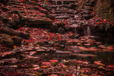 Stream flowing through rocks during autumn