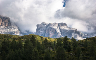 Scenic view of trees and mountains against sky