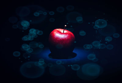 Close-up of apples on water against black background