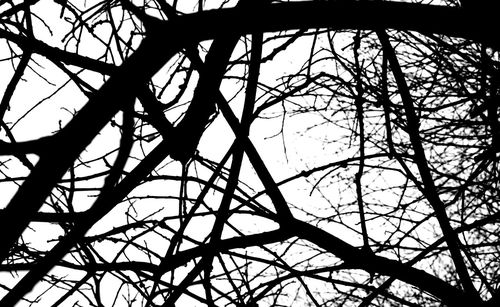 Low angle view of silhouette bare trees against clear sky