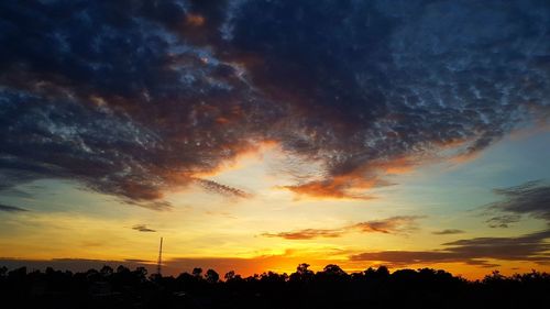 Silhouette trees against sky during sunset