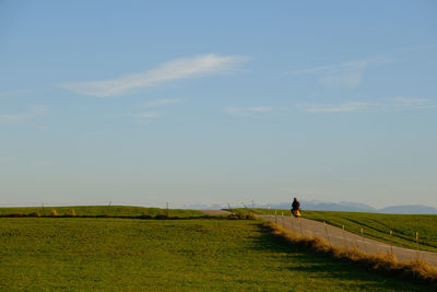 horizon