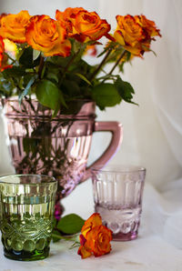 Potted plant on table