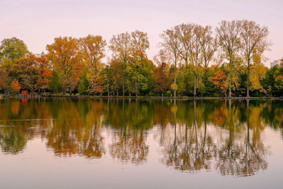 Scenic view of lake by trees against sky