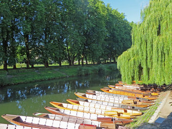 Panoramic view of trees and grass against sky