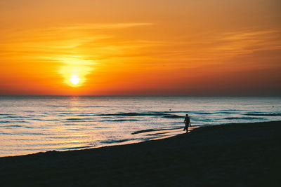 Silhouette person on beach against sky during sunset