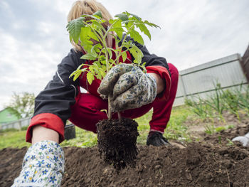 Midsection of man holding plant against sky