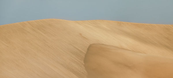 Scenic view of sand dunes
