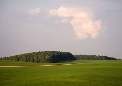 Trees on field against cloudy sky