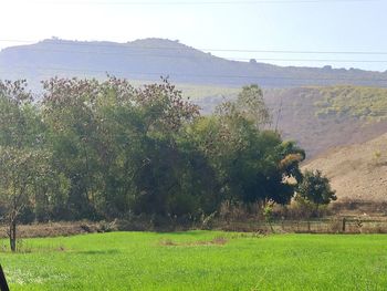 Scenic view of field against sky