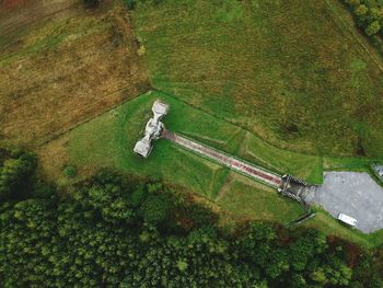 High angle view of trees on field in forest