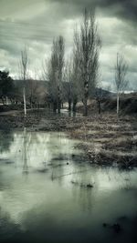 Bare trees on landscape against sky