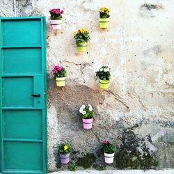 Potted plants against wall