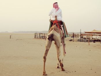 Full length of man riding horse in desert against clear sky