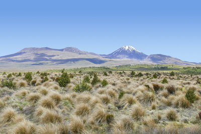 Scenery around mount tongariro at the north island of new zealand