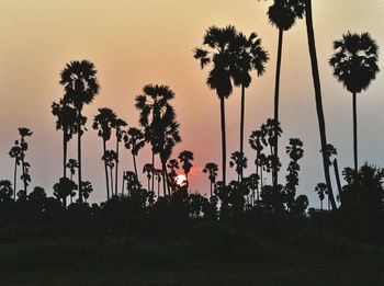 Silhouette palm trees against sky during sunset