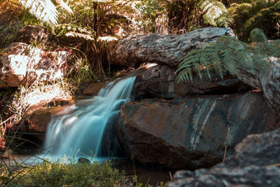 Scenic view of waterfall