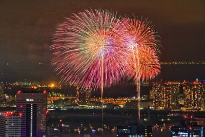 Firework display in sky at night