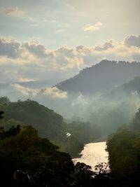 nature