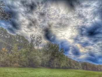 Low angle view of trees against sky